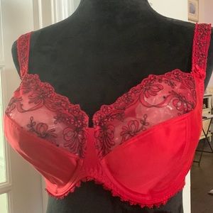 Elegant red and black 40E bra.